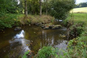 Source de la Rance Collinée