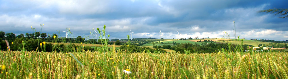 2011-eoliennes-pyj