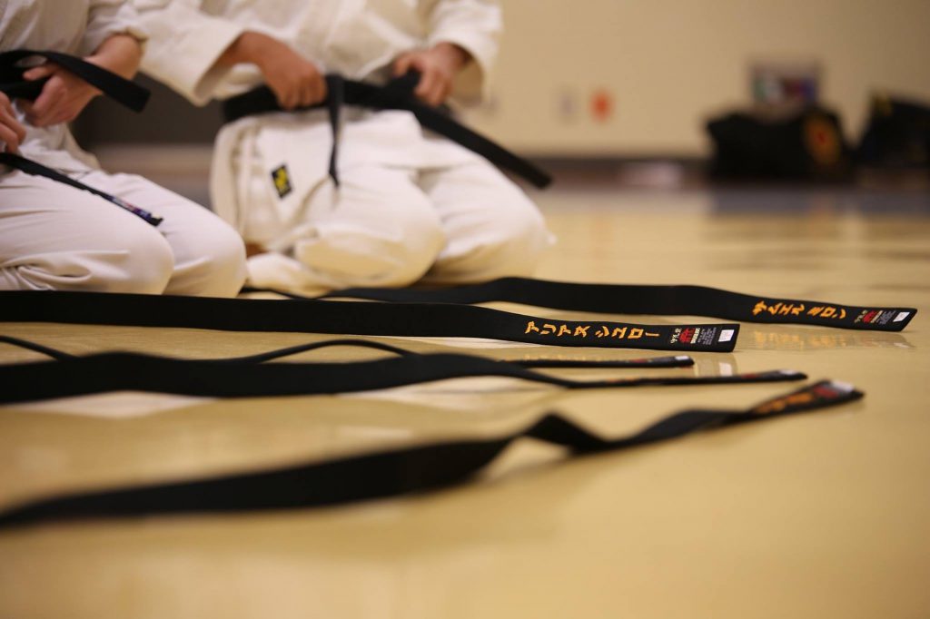 black-belt-894190_1920