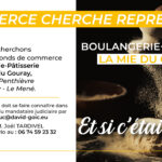 COMMERCE CHERCHE REPRENEUR